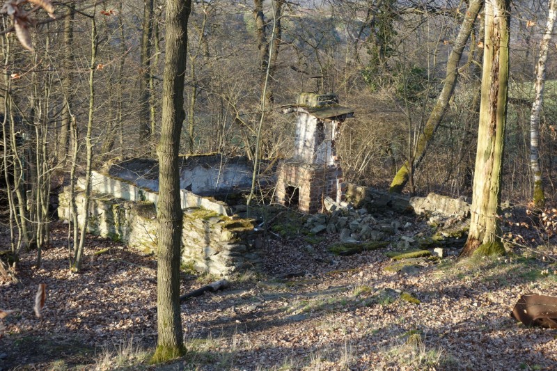 Traumschleifen F�nfseenblick und Rheingold