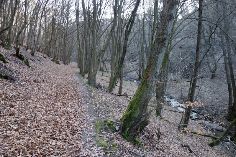 Traumschleifen F�nfseenblick und Rheingold