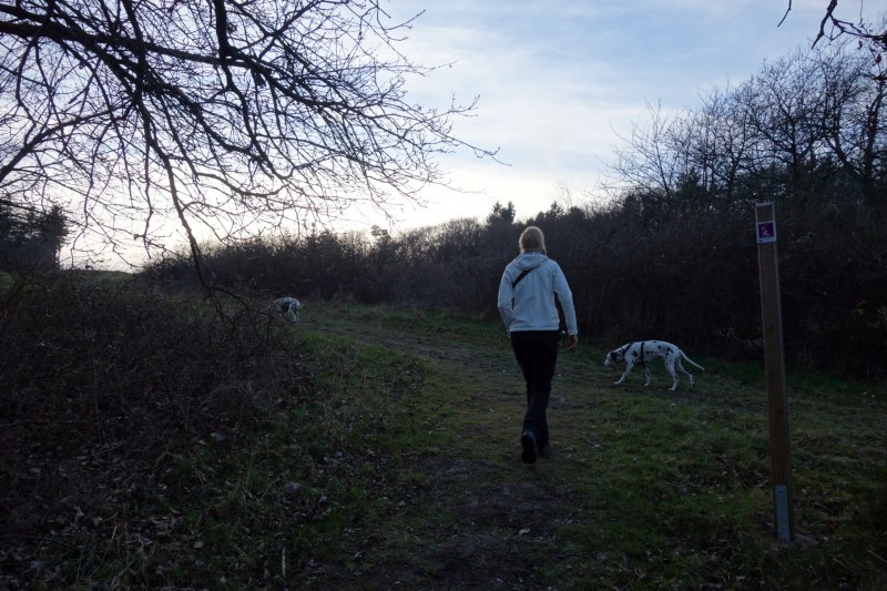 Traumschleifen F�nfseenblick und Rheingold