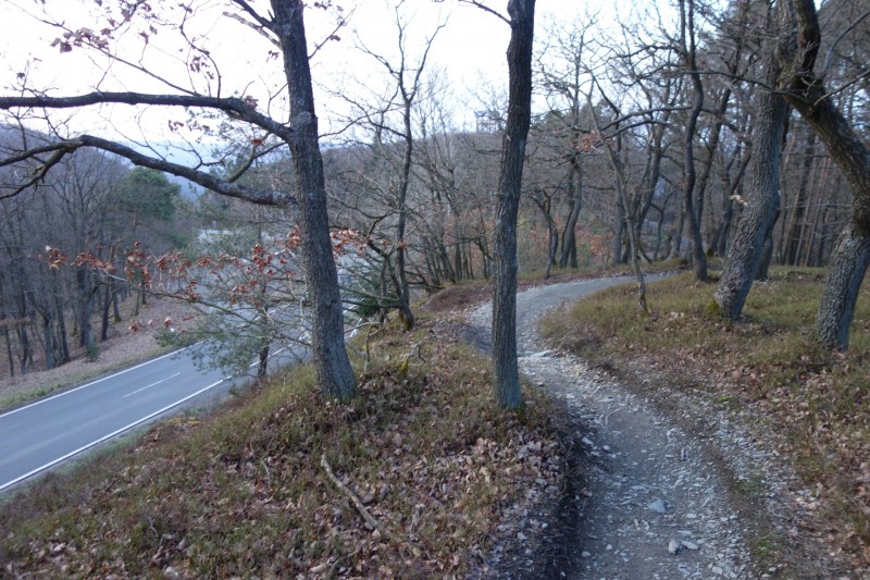 Traumschleifen F�nfseenblick und Rheingold