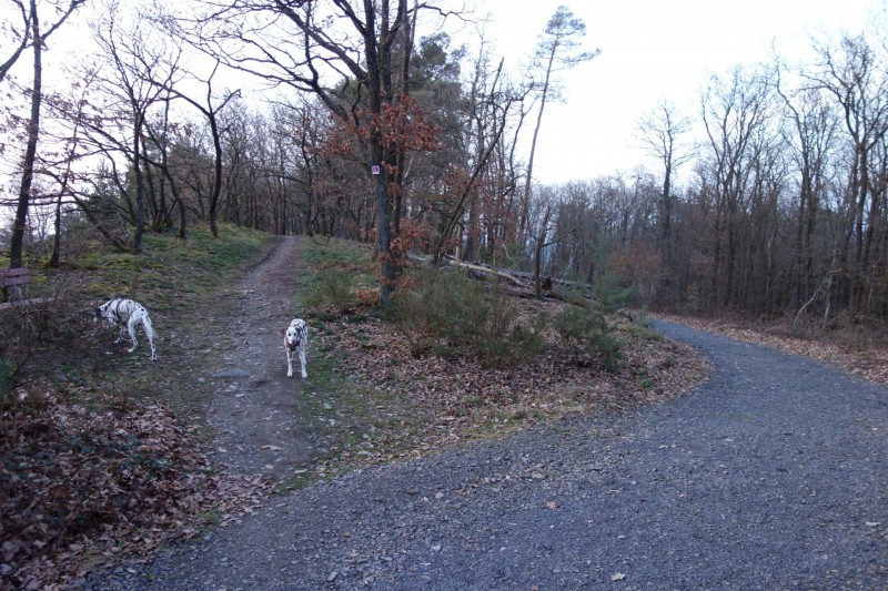 Traumschleifen F�nfseenblick und Rheingold