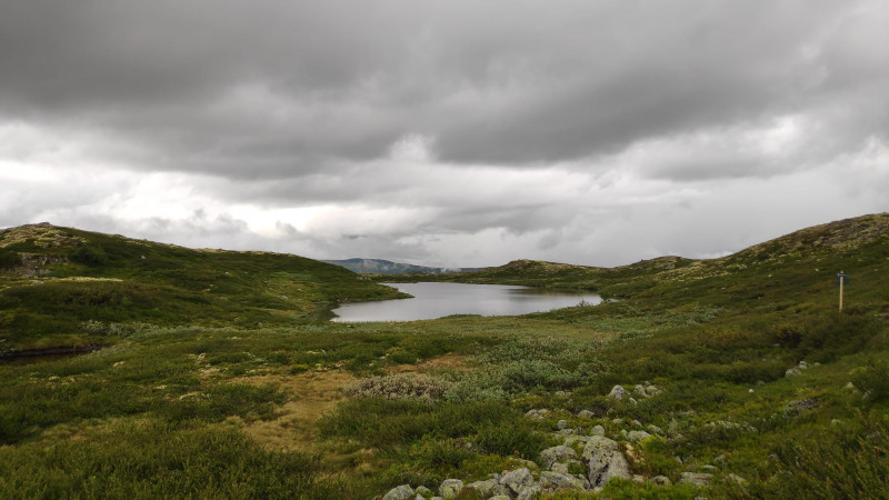 Tuftebrui - Tuva