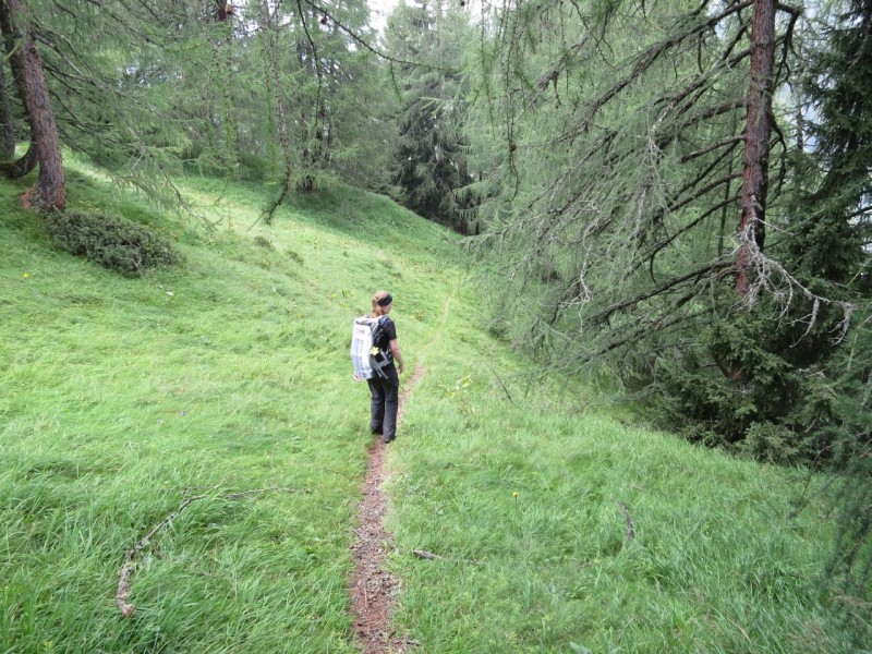 Hinterbichl - Stockachalm - Pebell Alm - Islitzer Alm - Hinterbichl