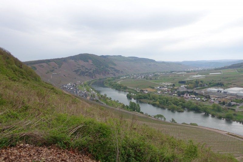 �rzig - Lieser