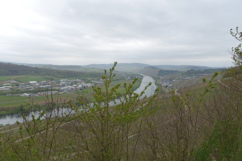 �rzig - Lieser