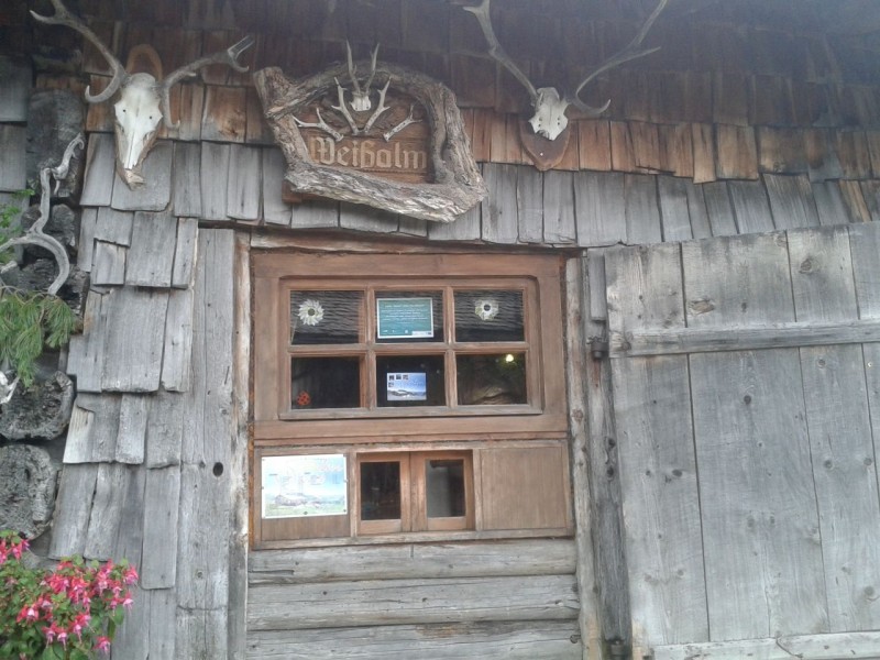 Unterwandalm - Muggenfeldalm - Maurachalm - Gabel - Penkkopf - Grndegg - Ellmau Alm - Weissalm