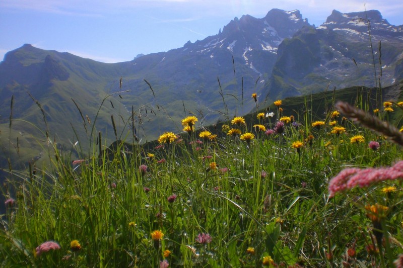 Urnerstafel