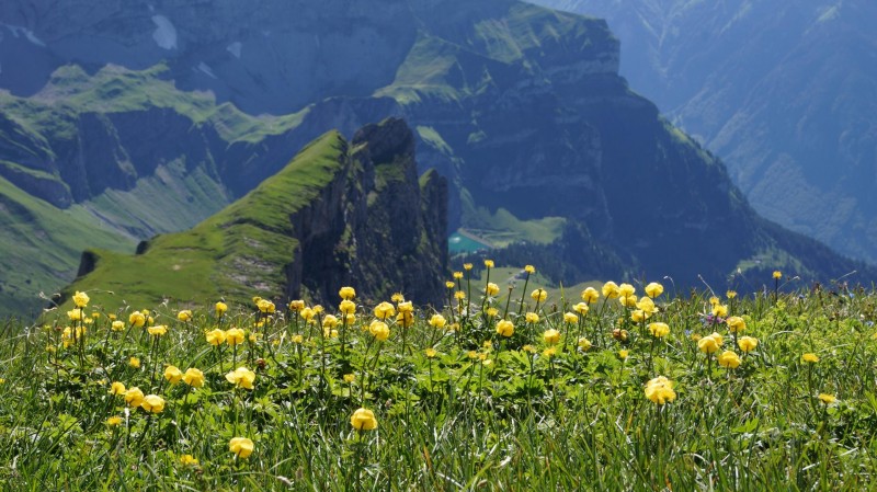 Urnerstafel