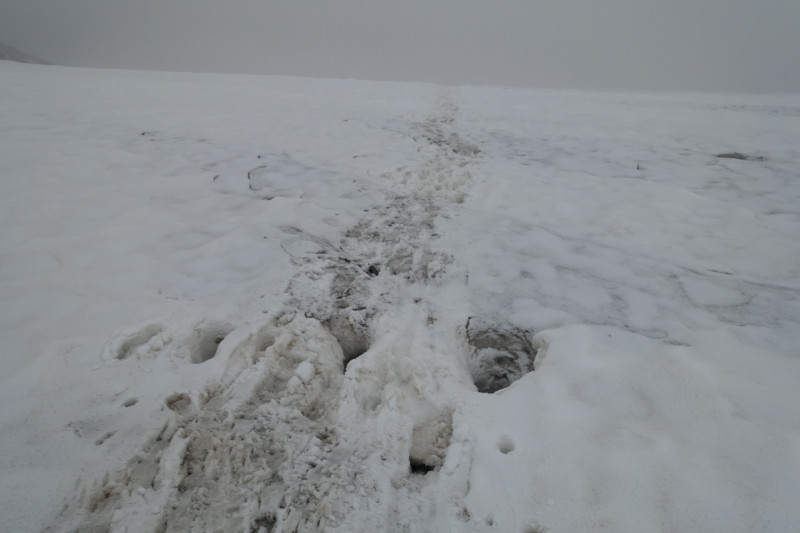 Vent - Martin-Busch-Htte - Similaunhtte - Similaun - Similaunhtte