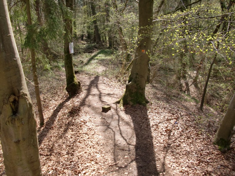Traumpfad Vier-Berge-Tour (Start Schweinsgraben)