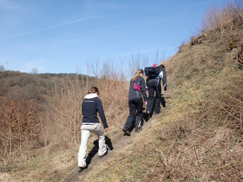 Traumpfad Virne Burgweg