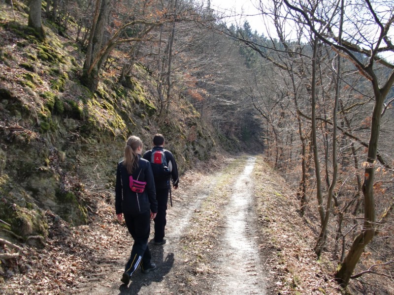 Traumpfad Virne Burgweg