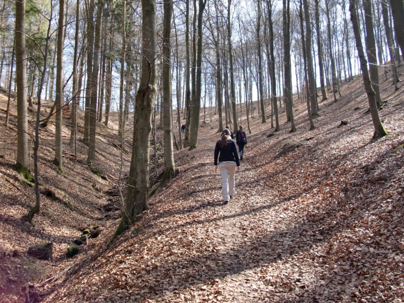 Traumpfad Virne Burgweg