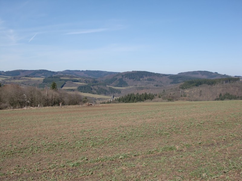 Traumpfad Virne Burgweg