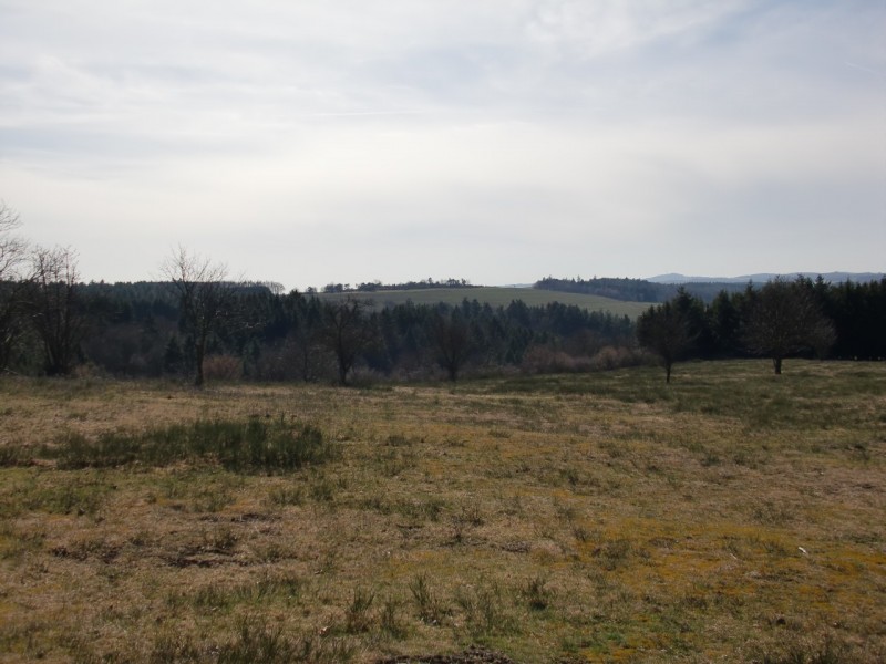 Traumpfad Virne Burgweg