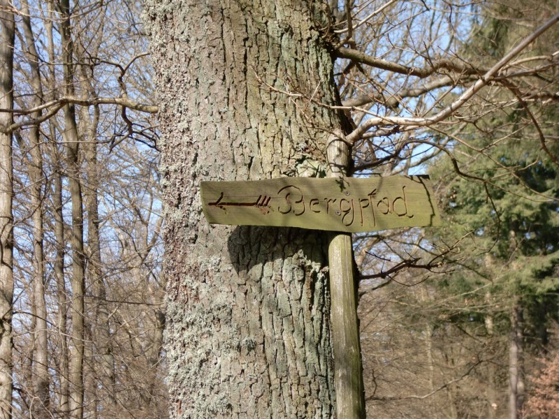 Traumpfad Virne Burgweg