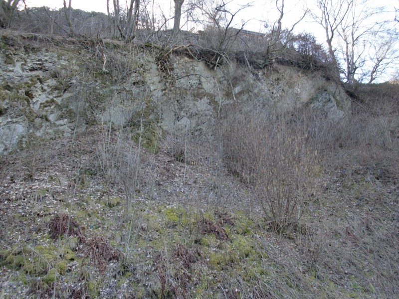 Traumpfad Virne Burgweg