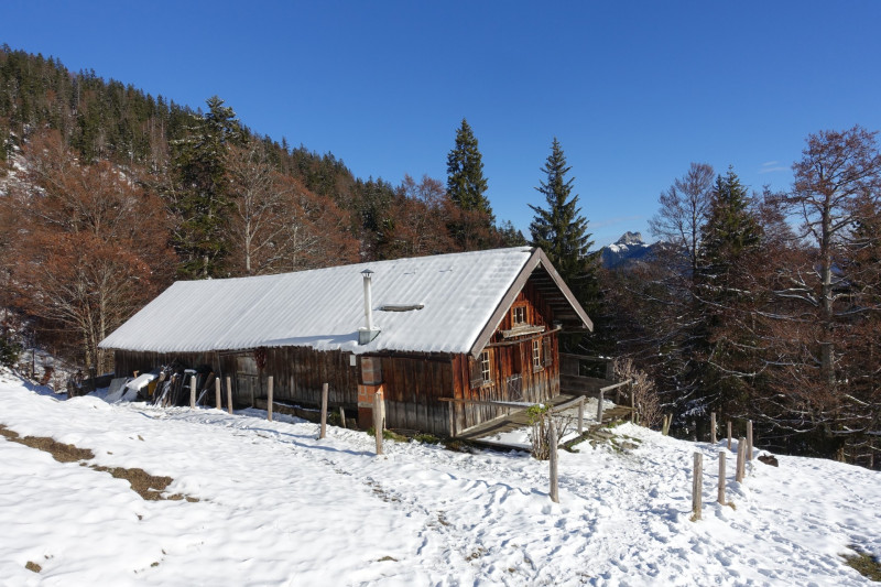 Walchental - Hölleialm - Mitterhütte - Hochalm - Gerstenrieder Kopf - Walchental