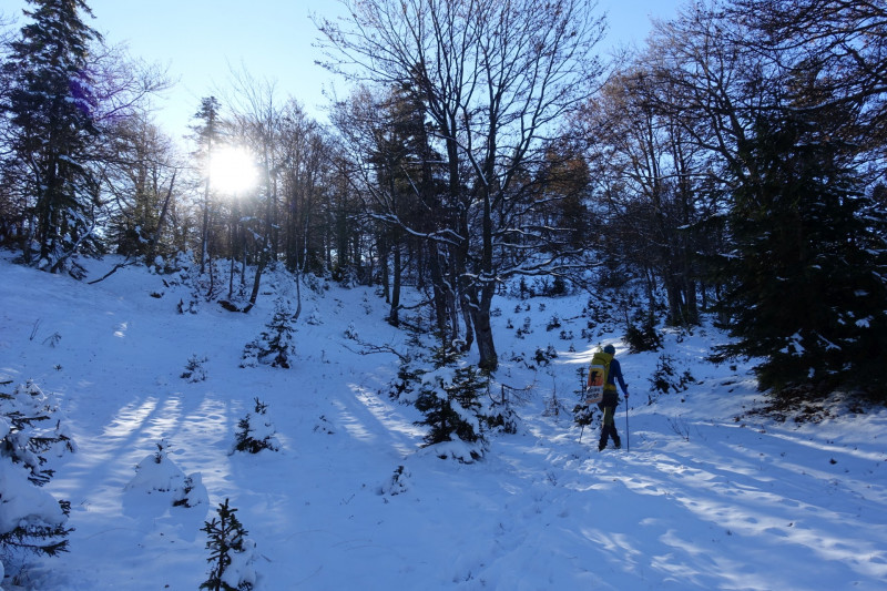 Walchental - Hölleialm - Mitterhütte - Hochalm - Gerstenrieder Kopf - Walchental