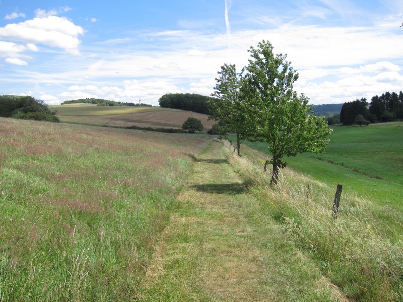 Traumpfad Wanderather Runde