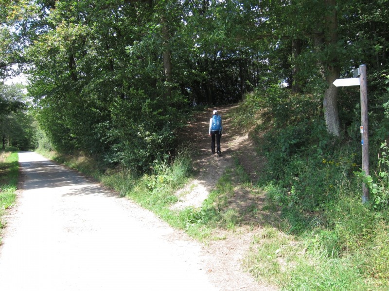 Traumpfad Wanderather Runde