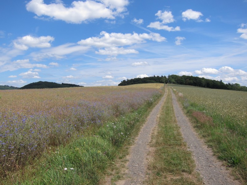 Traumpfad Wanderather Runde
