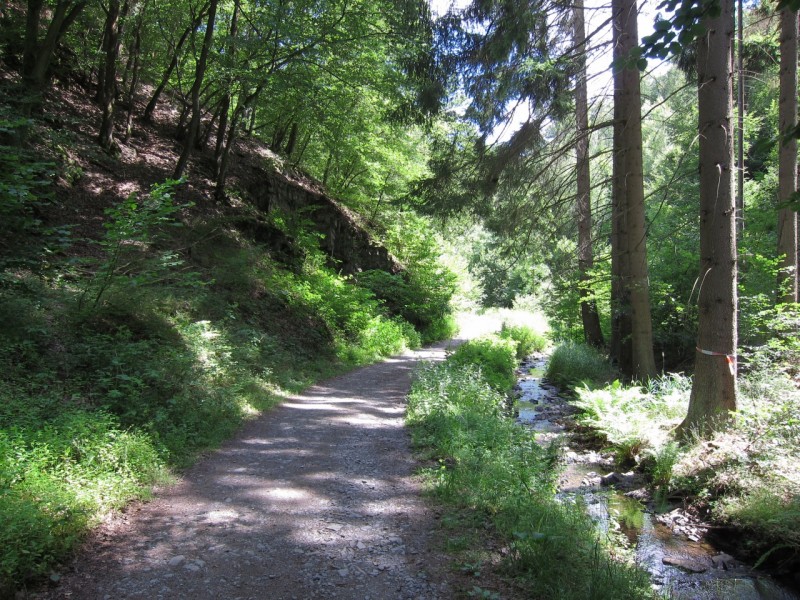 Traumpfad Wanderather Runde