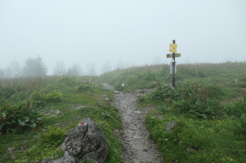 Watzmannhaus - Mitterkaser Alm - Koppenwand - Wimbachbrücke