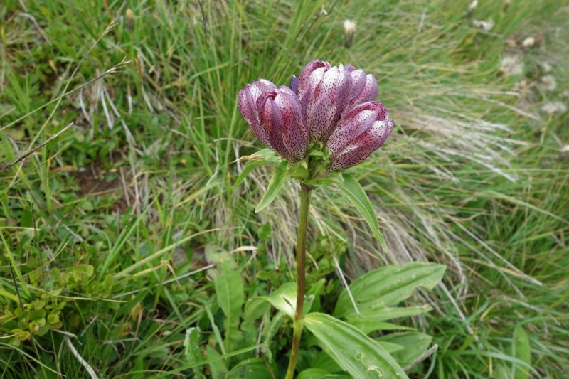Weidener H�tte - Rastkogel - Rastkogelh�tte
