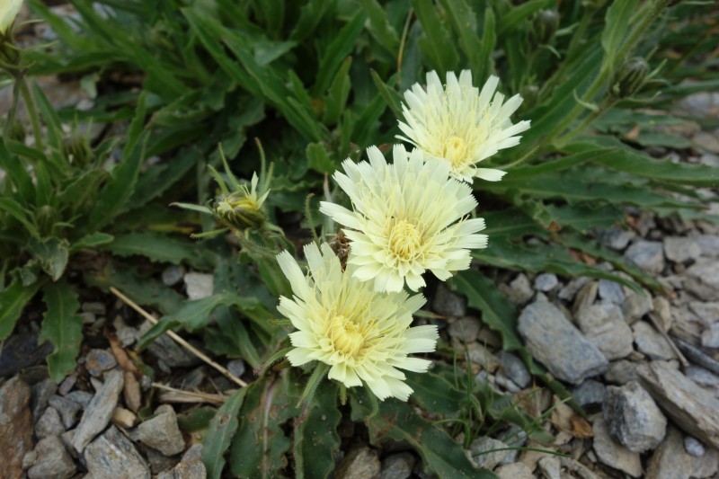 Weidener H�tte - Rastkogel - Rastkogelh�tte