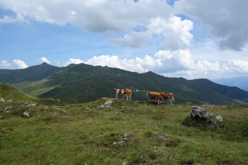 Weidener H�tte - Rastkogel - Rastkogelh�tte