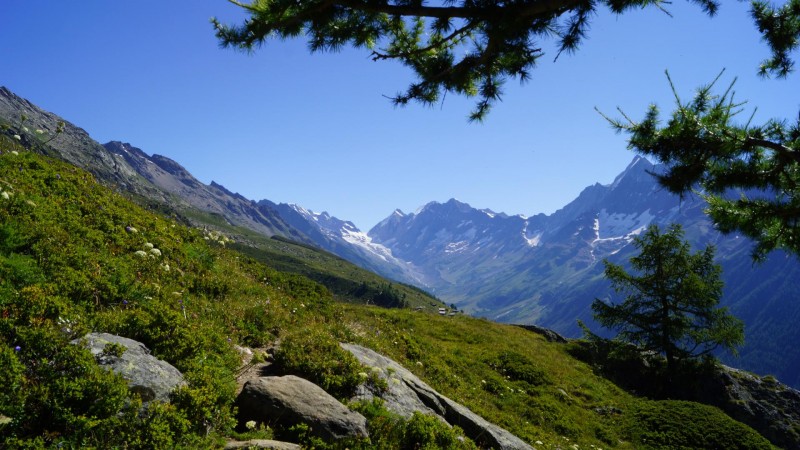 Weritzalp