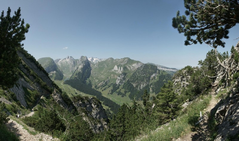 Widderalp