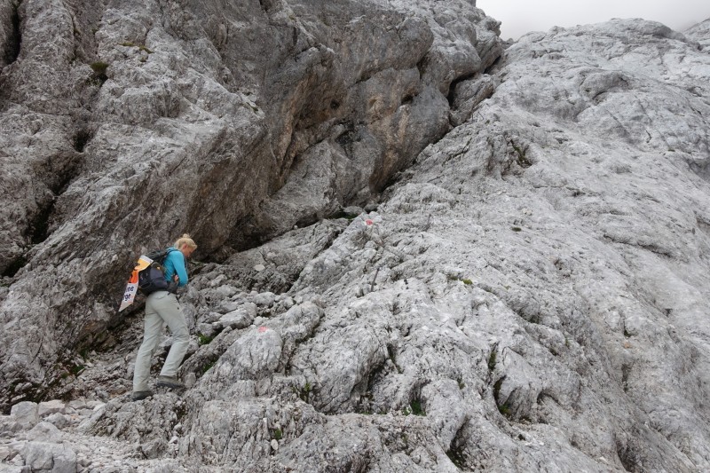 Wiener-Neustdter-Htte - Stopselzieher-Steig - Zugspitze - Mnchner Haus - Knorrhtte