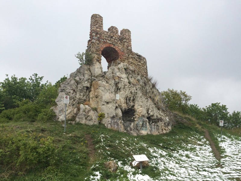 Wienerwald WanderMarathon 2017