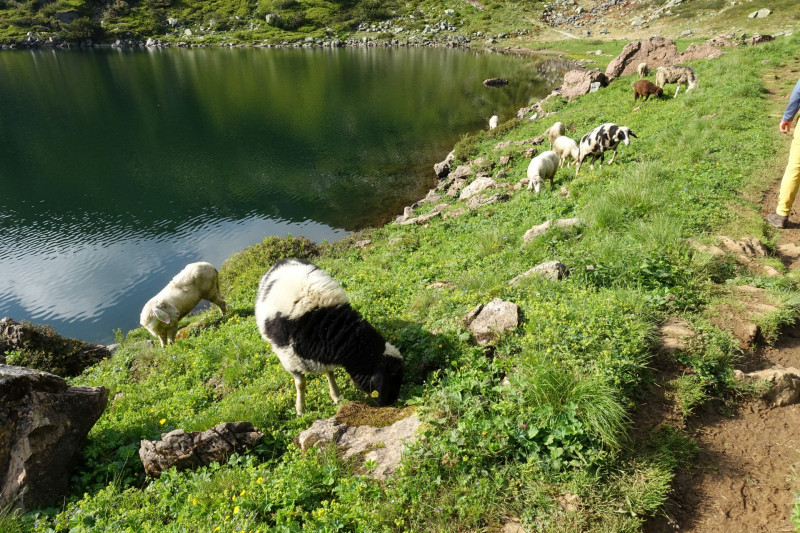 Wildseeloderhaus - Bischof - Sonnspitze - Bochumer Htte