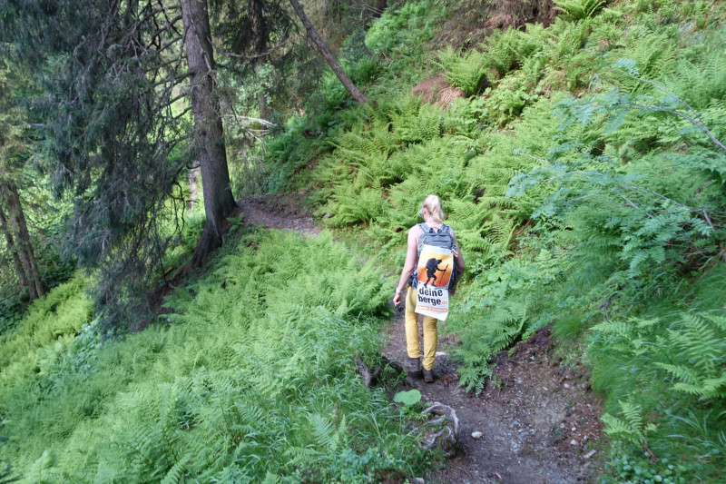 Wildseeloderhaus - Bischof - Sonnspitze - Bochumer Htte