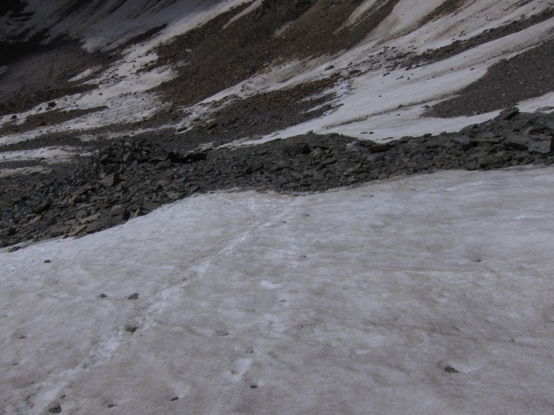Wildspitze