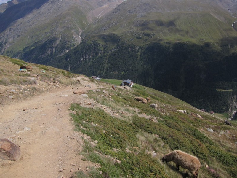 Wildspitze