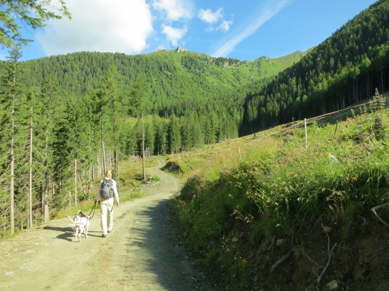 Wolliggerhütte - Auernig - Maresenspitz - Auernig - Wolliggerhütte