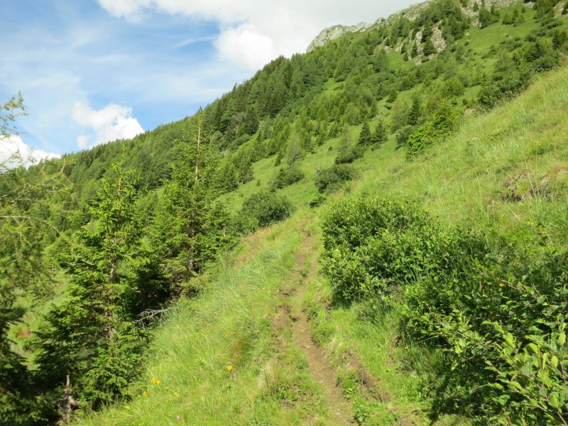 Wolliggerhütte - Auernig - Maresenspitz - Auernig - Wolliggerhütte