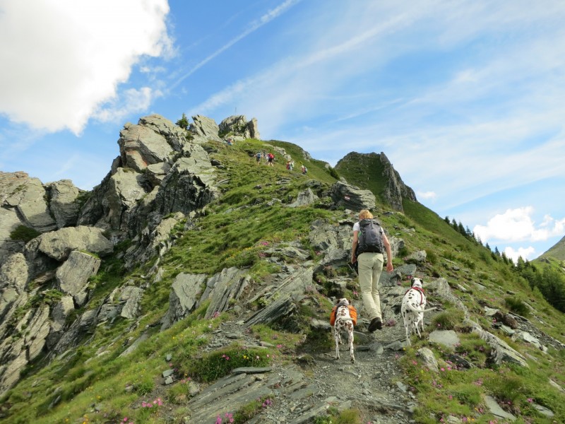Wolliggerhütte - Auernig - Maresenspitz - Auernig - Wolliggerhütte