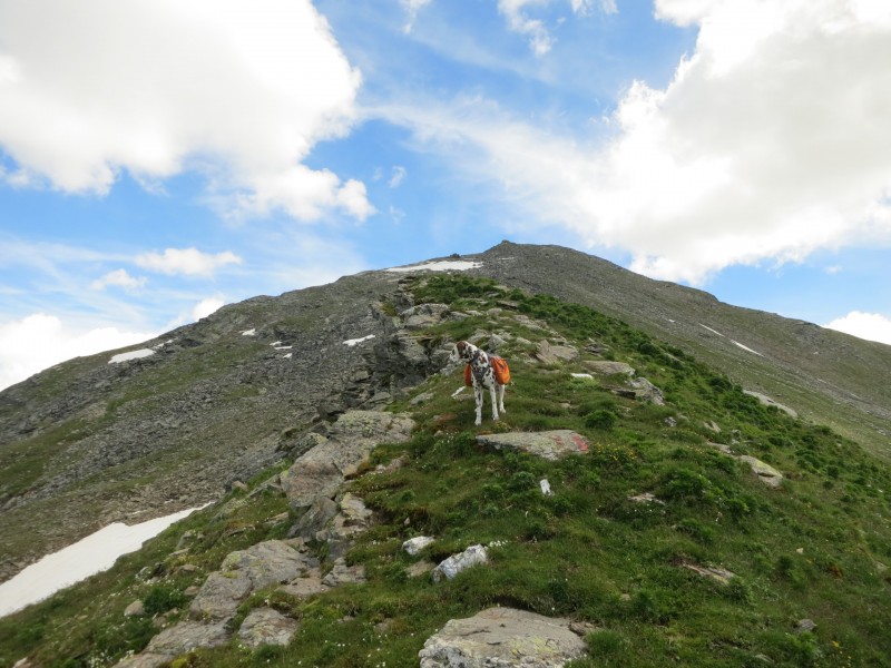 Wolliggerhütte - Auernig - Maresenspitz - Auernig - Wolliggerhütte