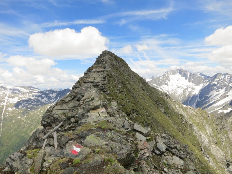Wolliggerhütte - Auernig - Maresenspitz - Auernig - Wolliggerhütte