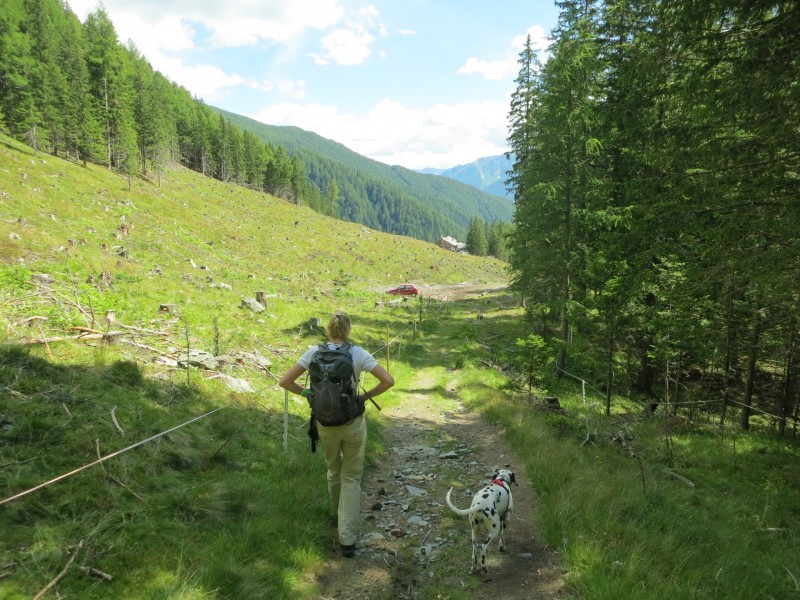 Wolliggerhütte - Auernig - Maresenspitz - Auernig - Wolliggerhütte