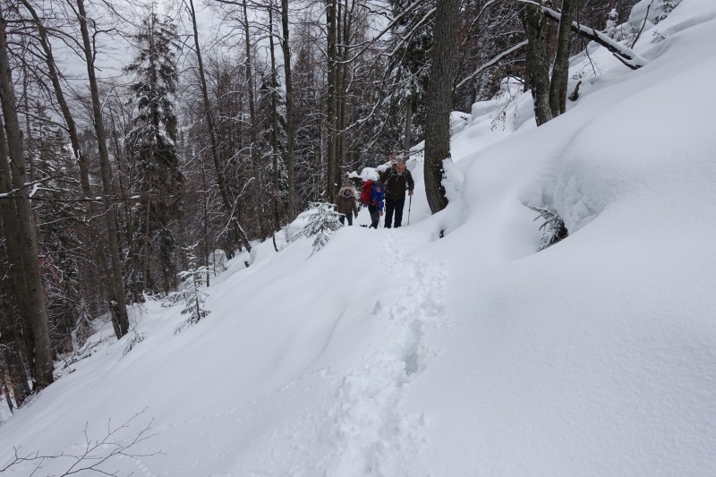 Zipfhusl - Gerstreiter - Sldenkpfl - Gtschenkopf - Toter Mann - Hochschwarzeck - Zipfhusl