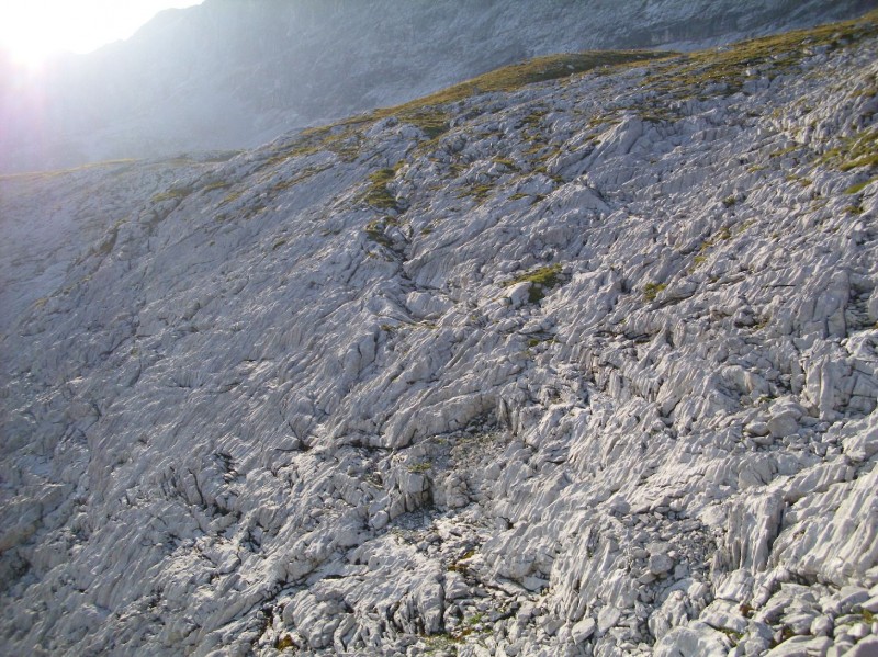 Zum Sulzfluh