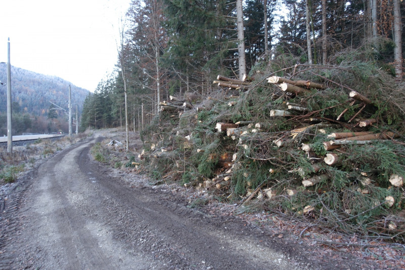 Zunderk�pfl - Hoher Ziegspitz