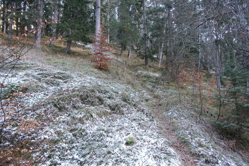Zunderk�pfl - Hoher Ziegspitz