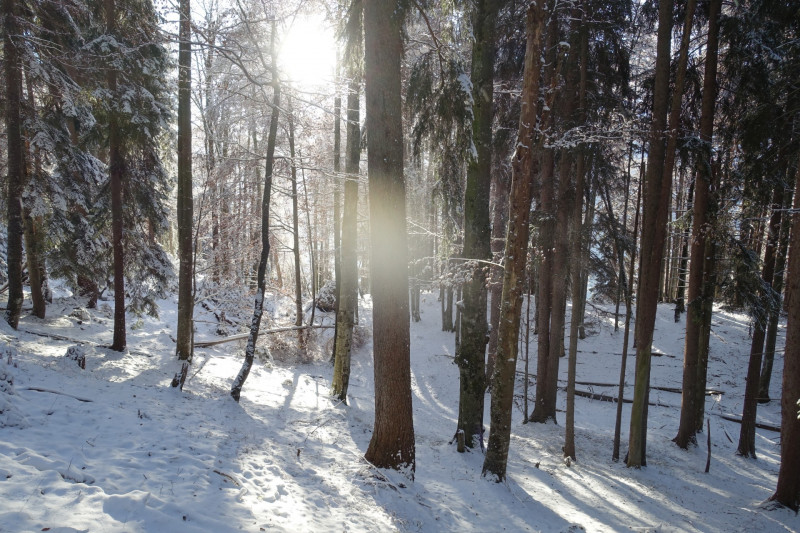 Zunderk�pfl - Hoher Ziegspitz